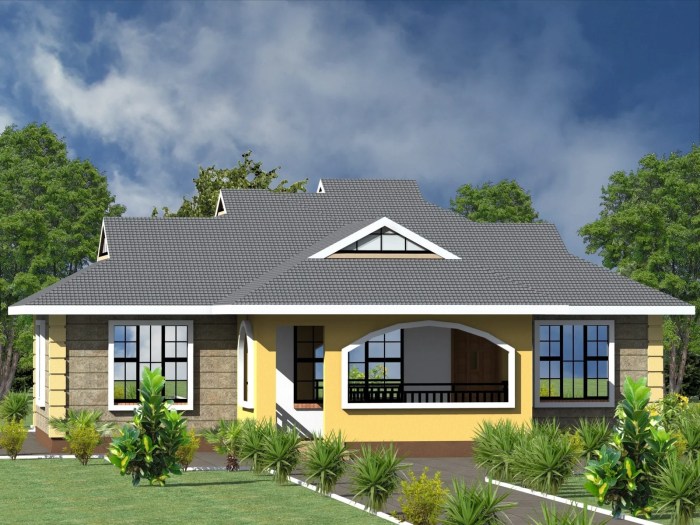 Low budget modern 3 bedroom house design