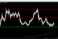 Fas chico inc