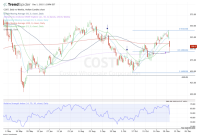 Costco historical stock price